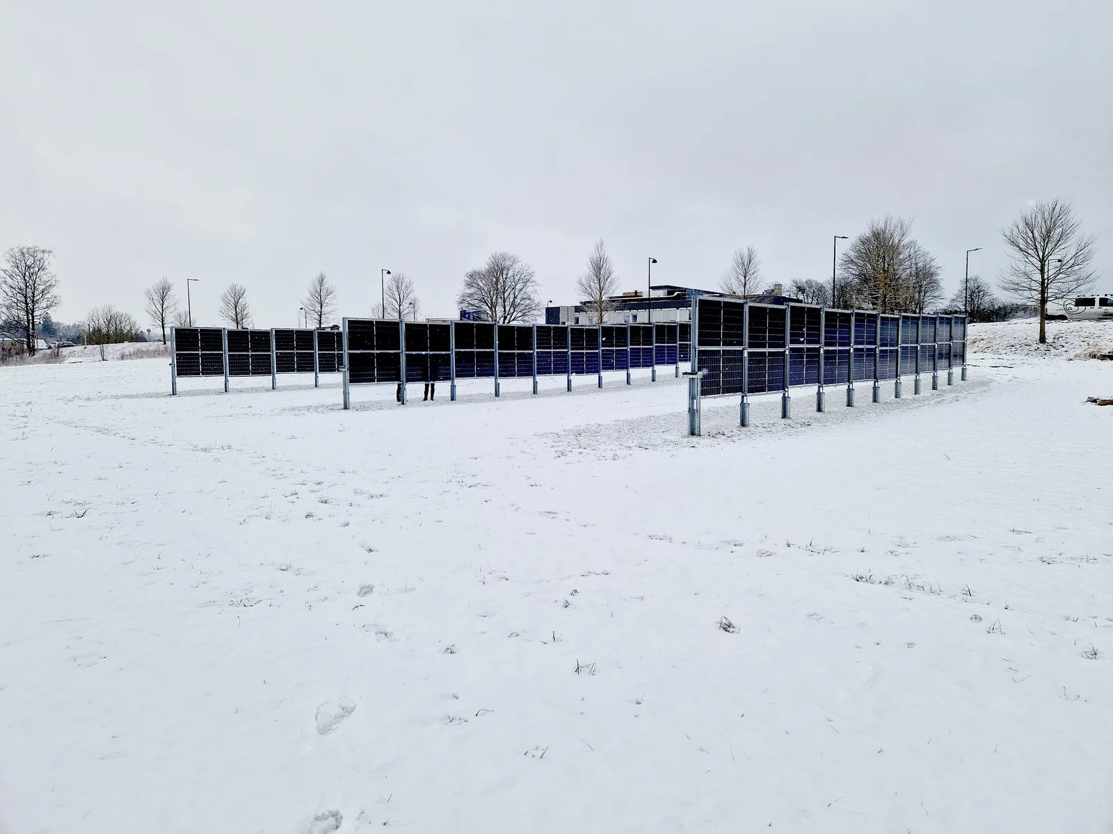 Vertical bifacial solar panels installed in a field with space for agriculture between rows