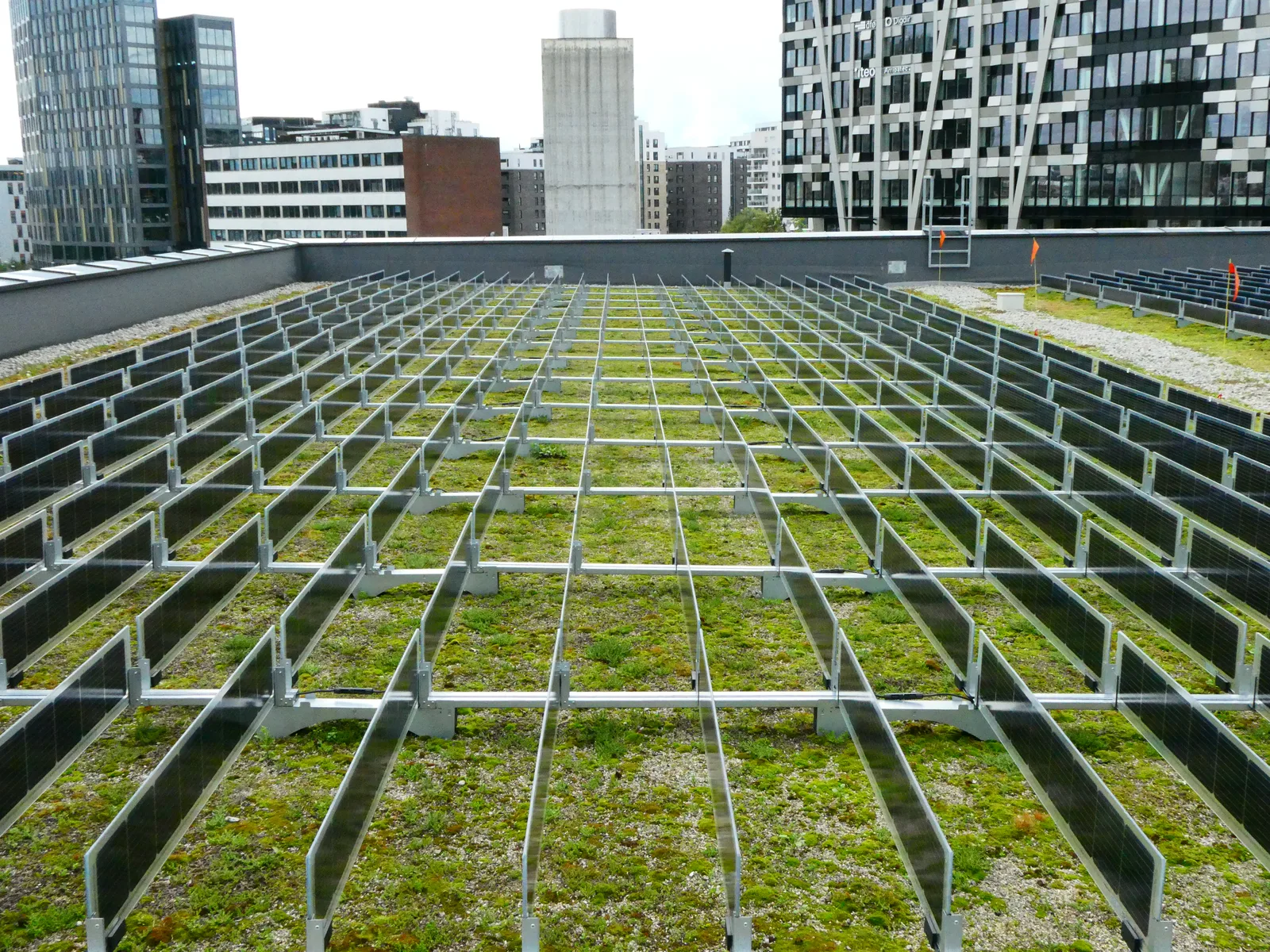 Green sedum roof combined with vertically mounted bifacial solar panels