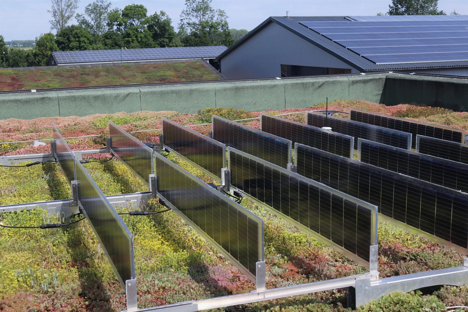 Urban green roof combined with a vertical solar installation